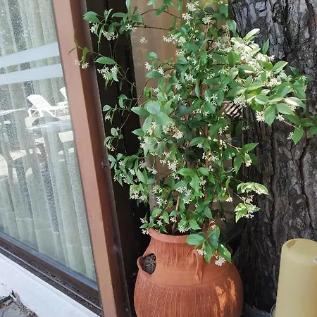 Penny's Ξενοδοχείο με διαμερίσματα 2*