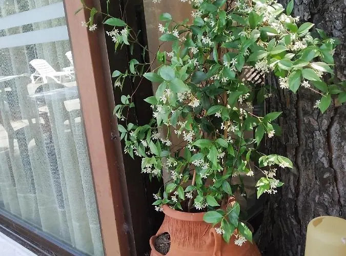 Penny's Appart hôtel 2*